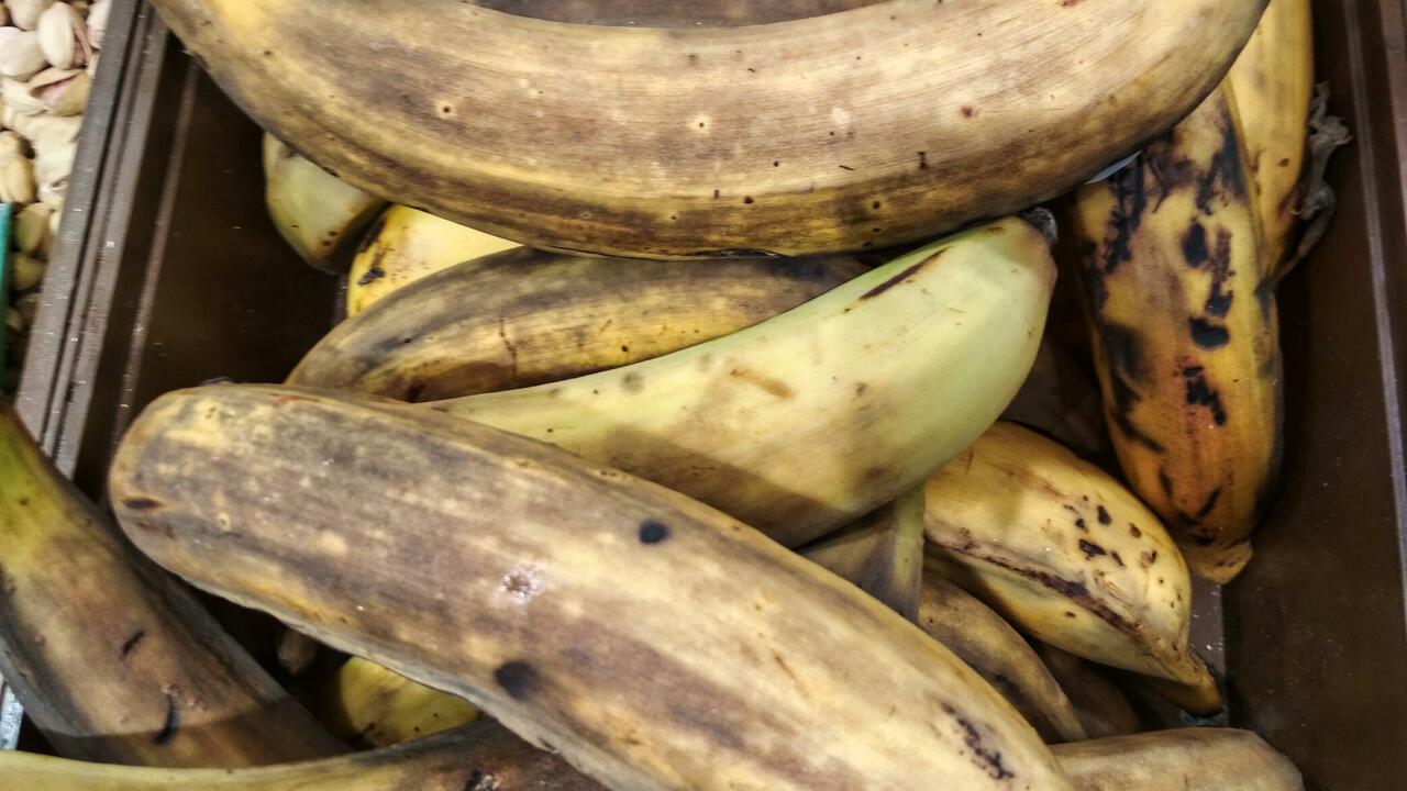Plantain
